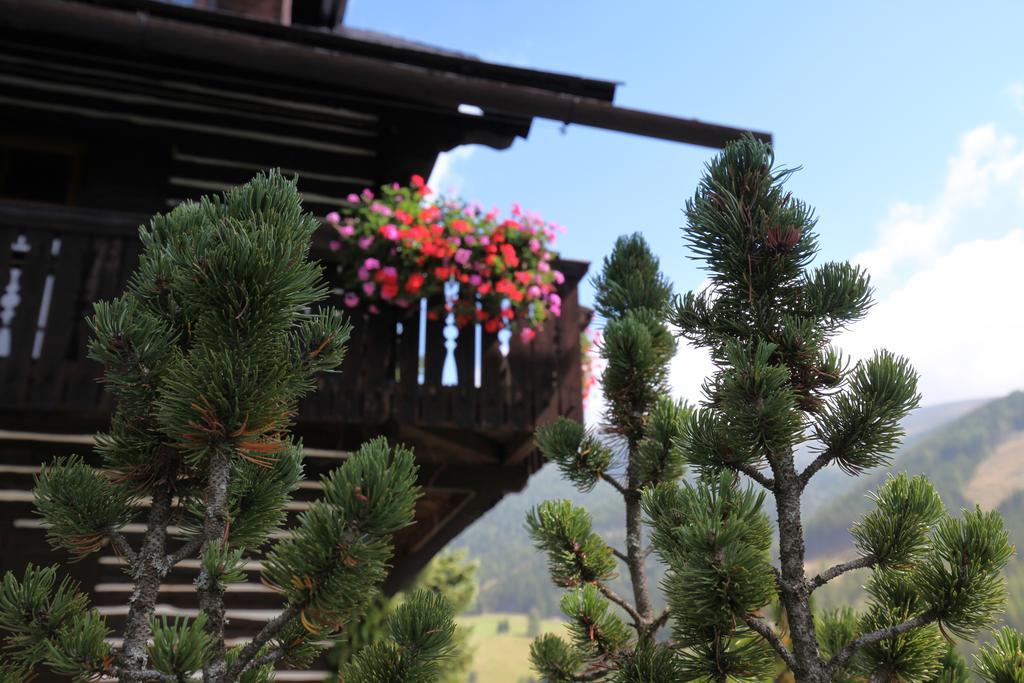 Pension & Appartements Ronacherhof バド クラインキルヒハイム エクステリア 写真